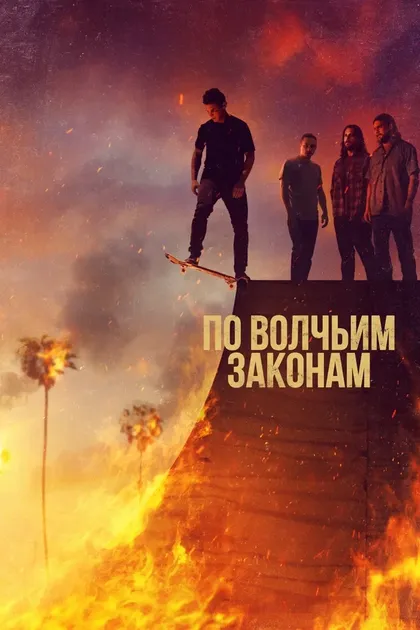 Постер По волчьим законам (2016)
